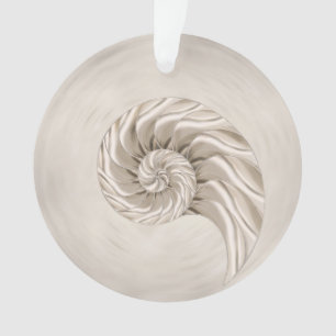 Ornamento Desenho de Nautilus Shell