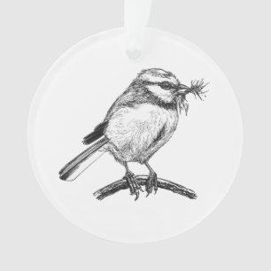 Ornamento Desenho de tinta de pássaro azul