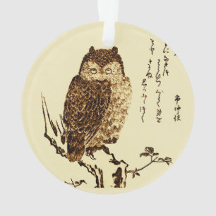 Ornamento Desenho de tinta japonesa de uma coruja