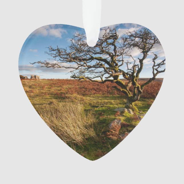 Ornamento Desert Savannah Dated Photo Custom (Frente)