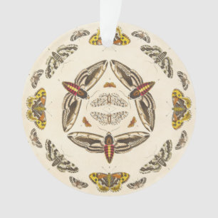 Ornamento Detalhe da placa V