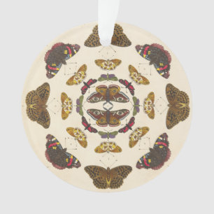 Ornamento Detalhe da placa VII