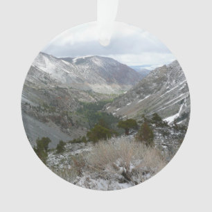 Ornamento Dirigindo pelas montanhas Snowy Sierra Nevada