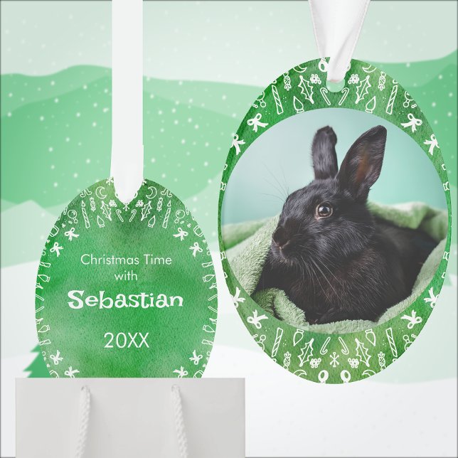 Ornamento DIY Rabbit on Green Oval Christmas Ornament (Criador carregado)