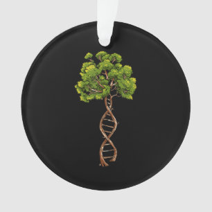 Ornamento Dna Tree Of Life Science Genetics Biology Environm