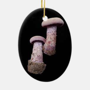 Ornamento do amante do mushroom