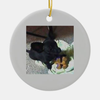 ORNAMENTO DO BEBÊ POKEMON