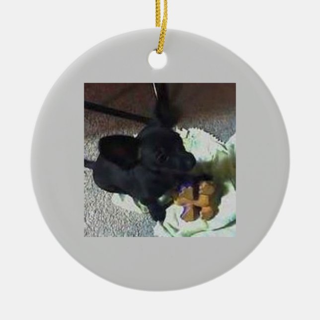 ORNAMENTO DO BEBÊ POKEMON (Frente)