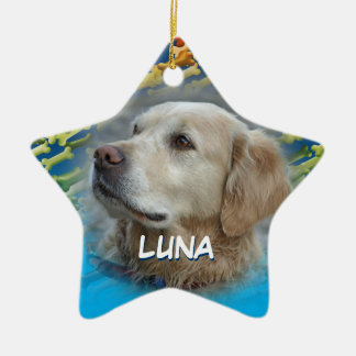 Ornamento do céu dos cães