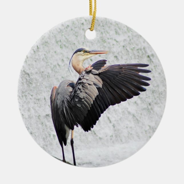 Ornamento do Círculo (Frente)