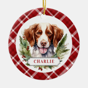 Ornamento do Círculo Cerâmico Brittany