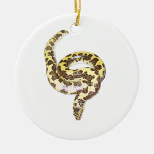 Ornamento do círculo do ESB