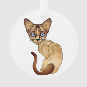 Ornamento do círculo do gato Siamese