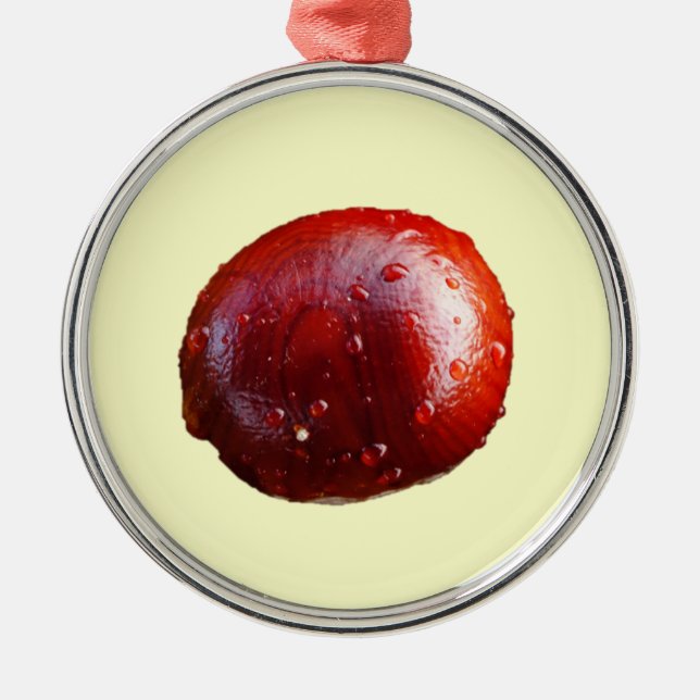 Ornamento do Conker (Frente)