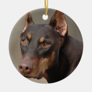 Ornamento do Doberman