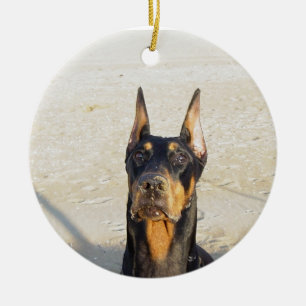 Ornamento do Doberman