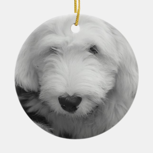 Ornamento do filhote de cachorro do Sheepdog (Frente)