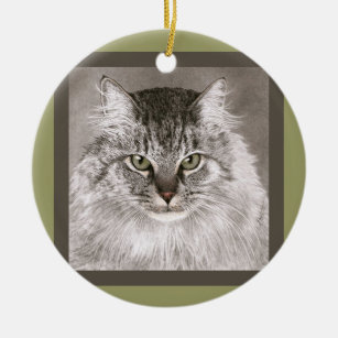 Ornamento do gato de racum de Maine - "Merlin "