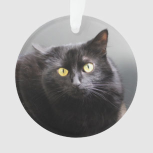 Ornamento do gato preto