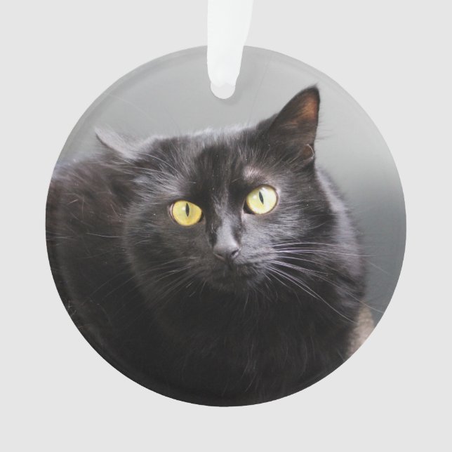 Ornamento do gato preto (Frente)
