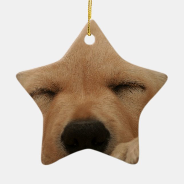 Ornamento do golden retriever do sono (Frente)