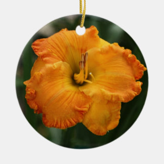 Ornamento do hemerocallis