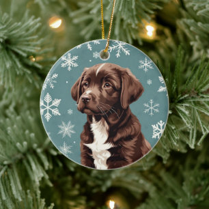 Ornamento do Laboratório Castanho de Chocolate