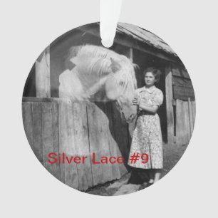 ornamento do laço #9 da prata do aniversário do 