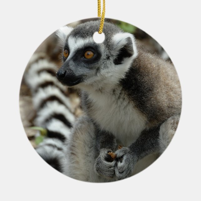 Ornamento do Lemur (Frente)