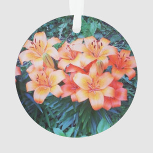 Ornamento do lírio de tigre