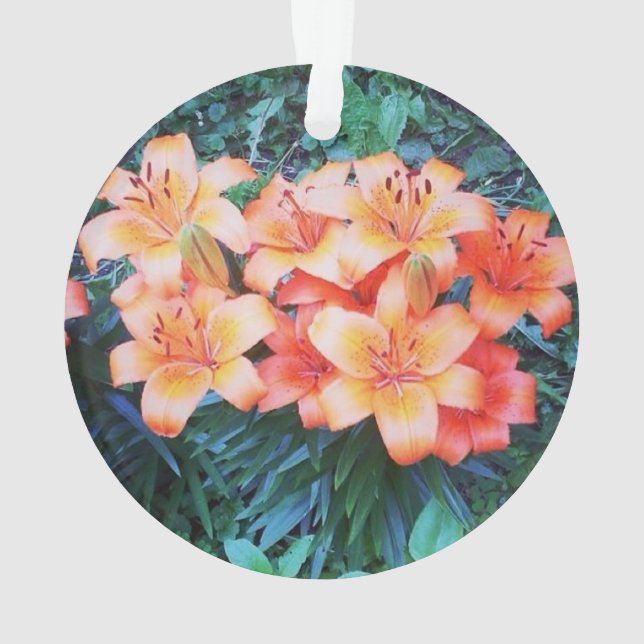 Ornamento do lírio de tigre (Verso)