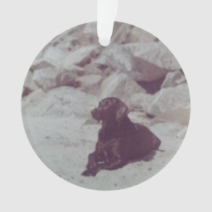 Ornamento do padeiro