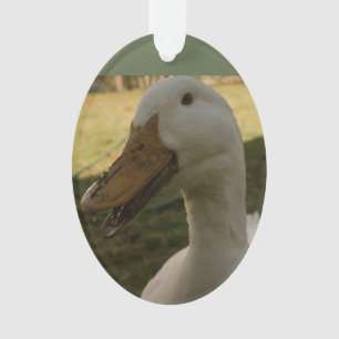 Ornamento do pato de Pekin