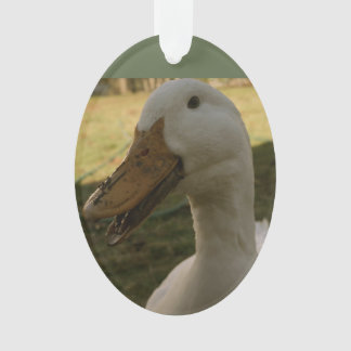 Ornamento do pato de Pekin