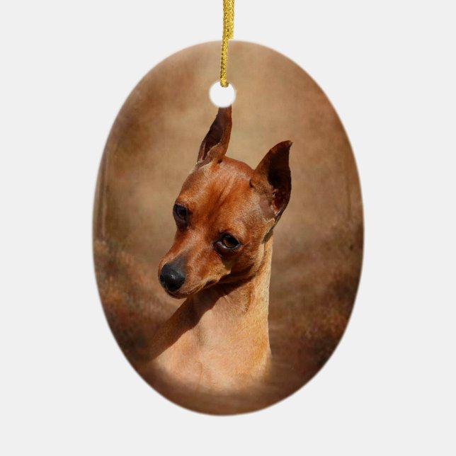 Ornamento do Pinscher diminuto (Frente)