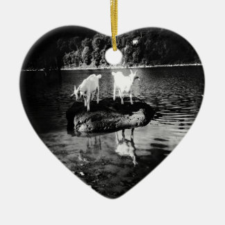 Ornamento do poder da cabra