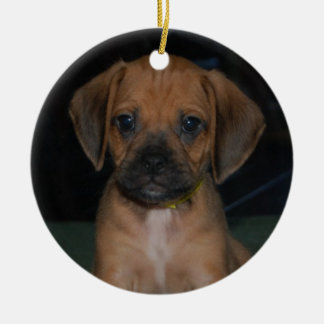 ornamento do puggle