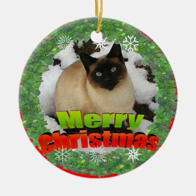 Ornamento do quadro da foto do gato da neve do (Frente)