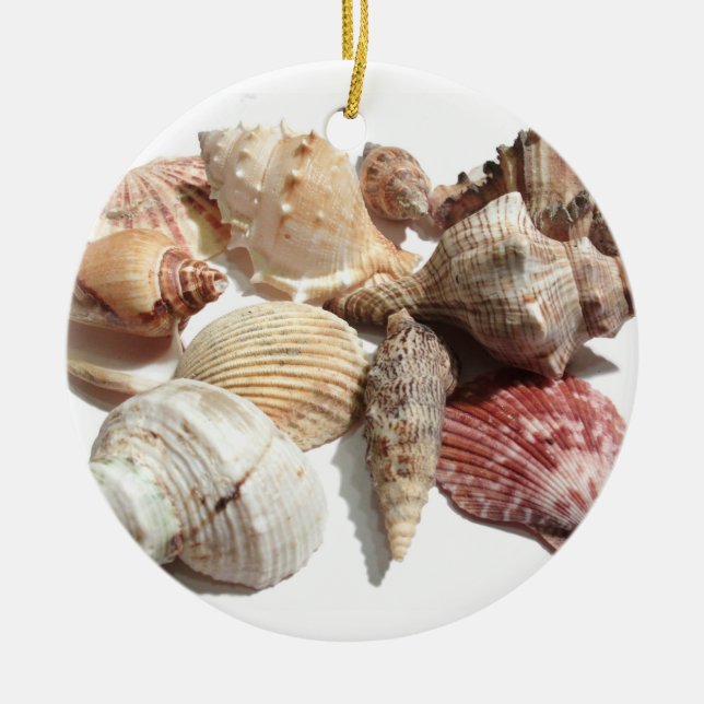 Ornamento do Seashell (Frente)