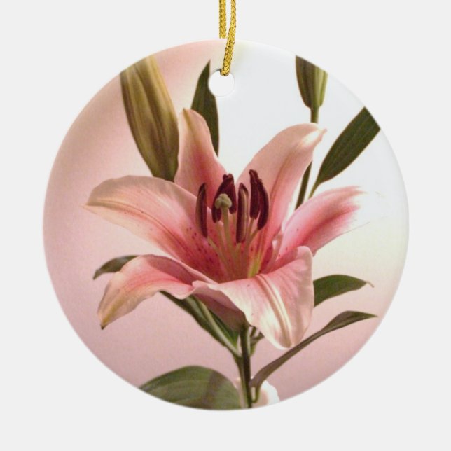 Ornamento do Stargazer (Frente)