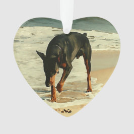 Ornamento Doberman na imagem da pintura da praia