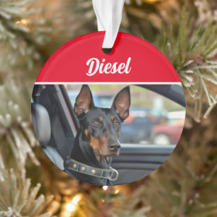 Ornamento Doberman Pinscher com Nome e Foto Natal