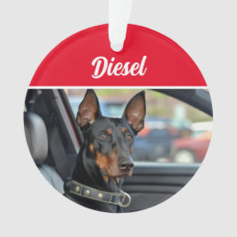 Ornamento Doberman Pinscher com Nome e Foto Natal