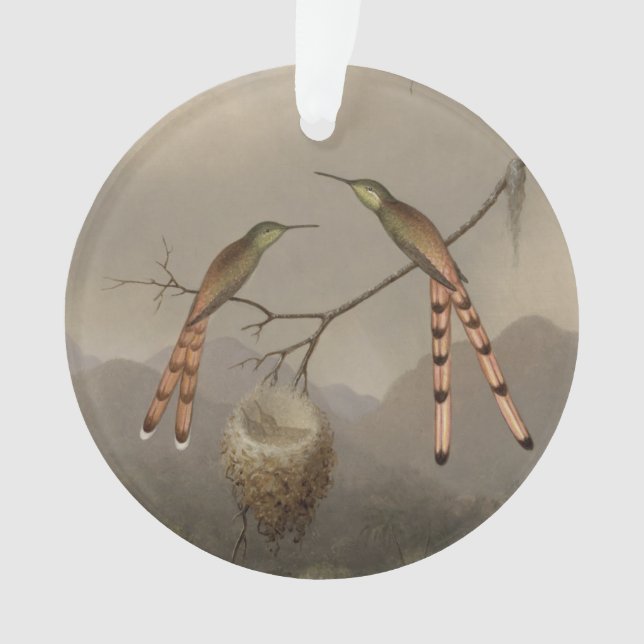 Ornamento Dois colibris com seus jovens (Frente)