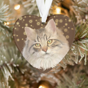 Ornamento Douradas estrelas Tabby Cat Grandchild