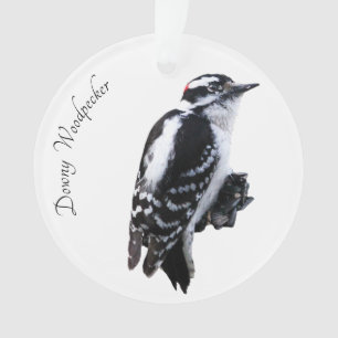 Ornamento Downy Woodpecker