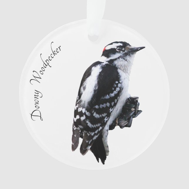 Ornamento Downy Woodpecker (Frente)