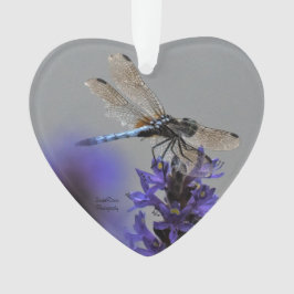 Ornamento Dragonfly Ornament