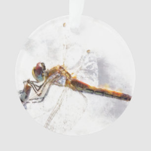 Ornamento Dragonfly Watercolor Pastel Fundo Branco