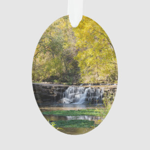 Ornamento É uma Cachoeira Dogwood